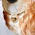 Large 19th-Century English Staffordshire Standing Collie Dogs With Glass Eyes - A Pair For Sale - Image 9 of 14