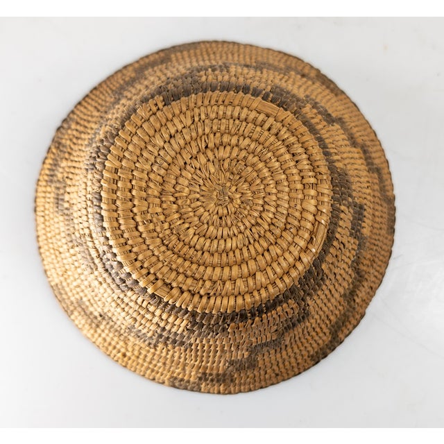 Early 20th Century Southwest Native American Indian Basket, Pima or Papago Tribe For Sale - Image 9 of 11
