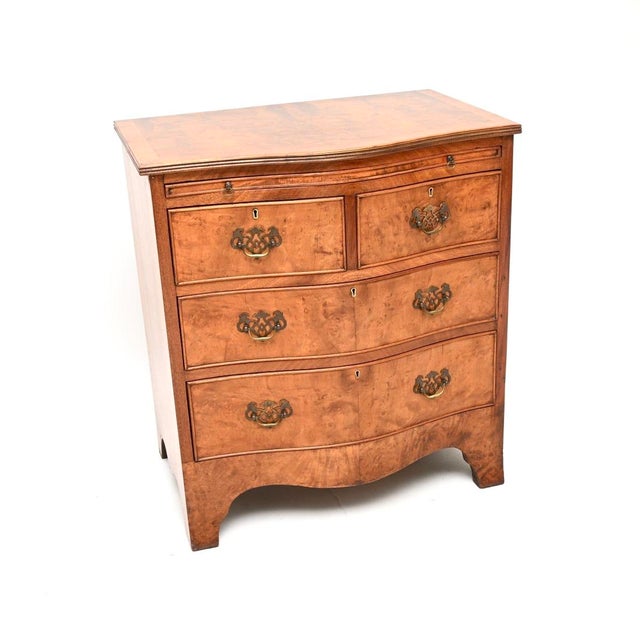 Antique Georgian Burr Walnut Chest of Drawers, 1920s For Sale - Image 11 of 11
