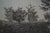 Antique Thatched Cottage Country Farmhouse Panoramic Landscape Etching 28" For Sale - Image 9 of 11
