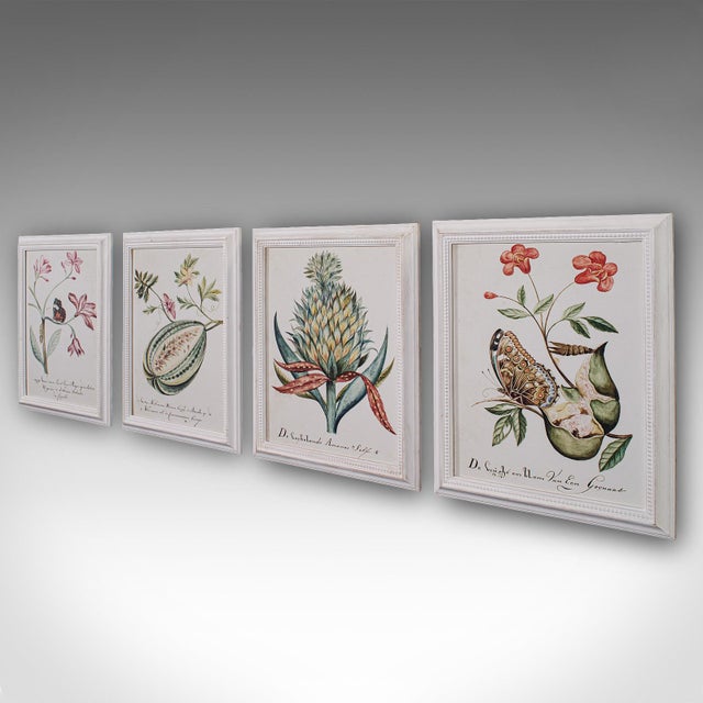 Illustration 4 Vintage Botanical Pictures, Framed Print, Plant Illustrations, Natural Art For Sale - Image 3 of 12