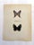 Up for sale is this gorgeous lithograph by F. Prochazka, published in Great Britain in 1965. It is in excellent, gently-...