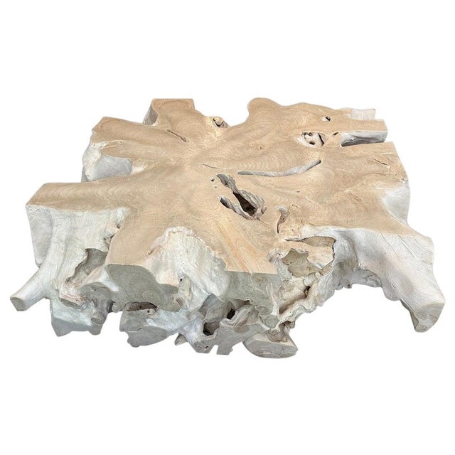 Andrianna Shamaris Monumental Bleached Teak Wood Organic Root Coffee Table For Sale In New York - Image 6 of 18
