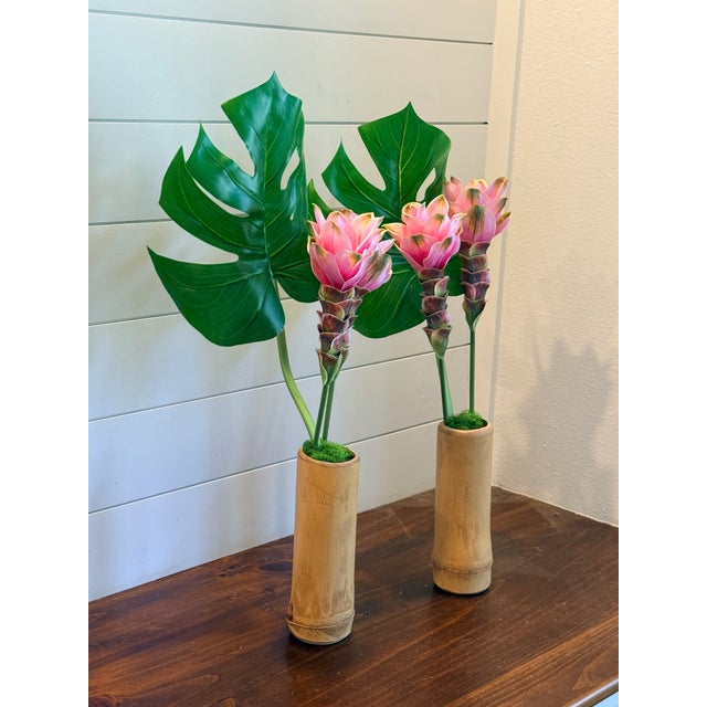 Siam Tulip in Bamboo For Sale - Image 4 of 5