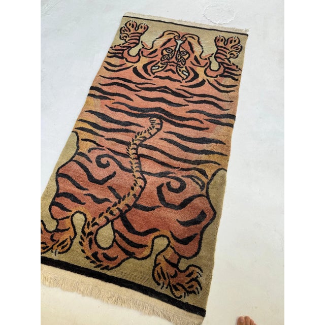 Bristol tiger rug Lサイズ SOPH.NEWS