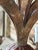 Metal Vintage Tole Pineapple Five-Light Chandelier With Gilt Metal Leaves For Sale - Image 7 of 12