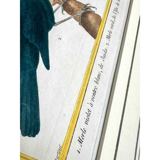 Wood Antique 18th Century Bird Copper Plate Engraving by François-Nicolas Martinet For Sale - Image 7 of 12