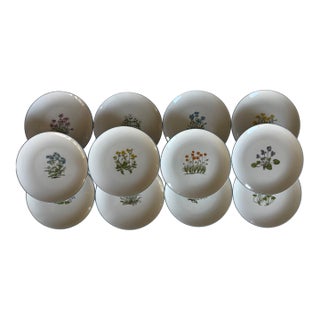 Set of 12 Vintage Takahashi Japan Lunch Plates With Botanical Designs For Sale