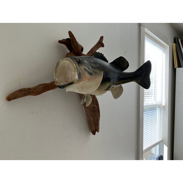 Rustic Late 20th Century Largemouth Bass Wall Mount on Driftwood, Rustic Lodge Decor For Sale - Image 3 of 12