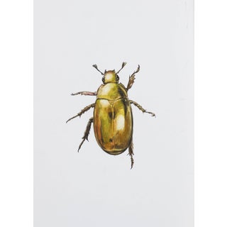 Juris Utans, Charming Golden Beetle, 2021, Mixed Media and Paper For Sale