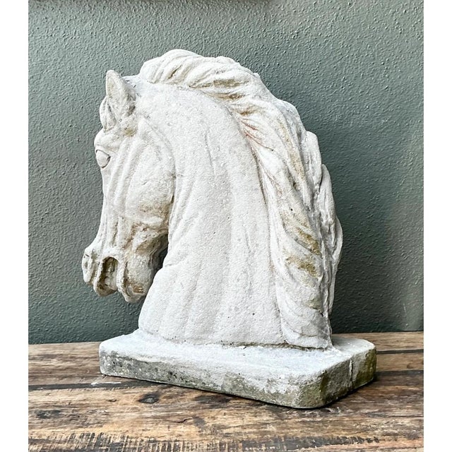 Neoclassical Vintage Cement Equestrian Bust For Sale - Image 3 of 12