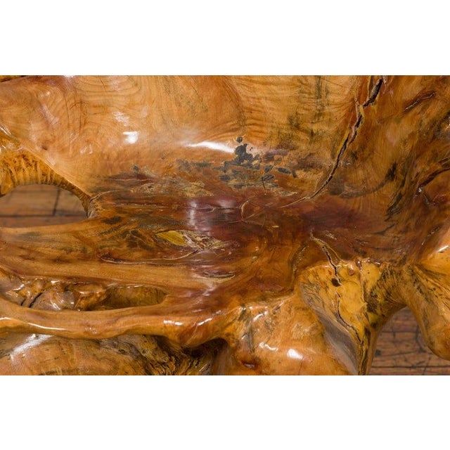 Vintage Rustic Chinese Camphor Wood Tree Root Armchair with Light Varnish For Sale - Image 10 of 12