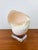 1980s Vintage Large Crowned Baler Sea Snail Shell on Lucite Base For Sale - Image 5 of 7