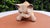 Vintage Porcelain Dog, Połonne, Ukraine, 1970s For Sale - Image 6 of 8
