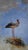 A solitary stork stands gracefully atop a nest, set against a serene sky that transitions from soft blues to gentle grays....