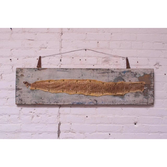Rattlesnake skin (likely a Diamondback, based on its pattern) mounted via brass studs to a painted blue plank, circa...