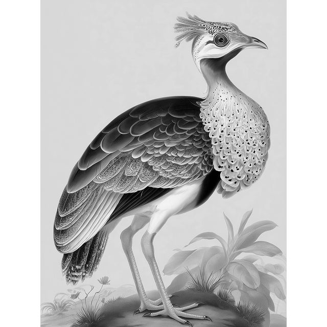 2020s Great Bustard Bird — Black & White Fine Art Print | Unframed For Sale - Image 5 of 5