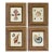 Framed Seashell Engraving Prints - Conchology Engravings After Georg Wolfgang Knorr, Set of 4 For Sale