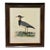 Vintage Eleazar Albin Lapwing Plover Ornithological Bird Print, Framed For Sale