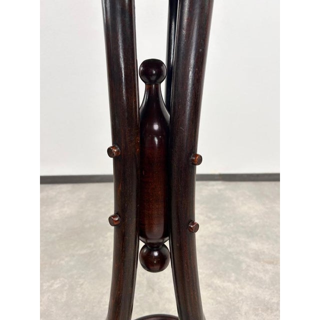 Bentwood Plant Stand from Thonet, 1920s For Sale - Image 6 of 9