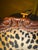 Vintage Rococo Revival chaise lounge featuring a beautifully hand-carved solid wood frame and striking leopard velvet...