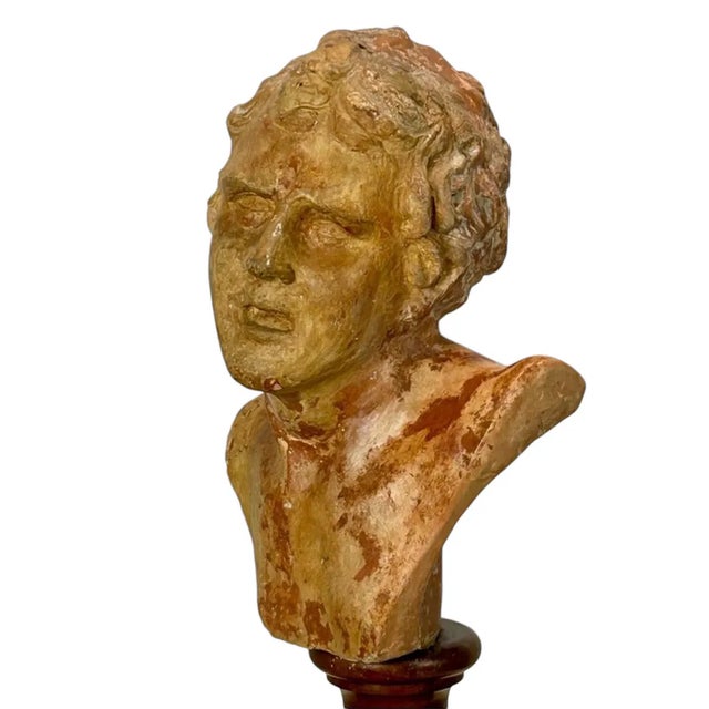 Classic Male Bust, 1890s-1910s, Terracotta For Sale - Image 3 of 7
