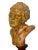 Classic Male Bust, 1890s-1910s, Terracotta For Sale - Image 3 of 7