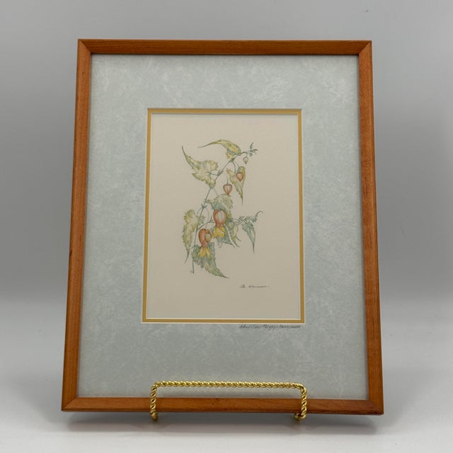 Traditional Margot Weemaes 1981 Abutilon Megapotamicum Botanical Portfolio Print For Sale - Image 3 of 10
