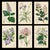 An exceptional 19th-century botanical lithograph attributed to celebrated botanical artist Walter Hood Fitch, produced for...