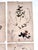 Oversized Antique French Herbarium Specimens – Set of 8 | Original 19th Century Pressed Botanical Collection From Paris For Sale - Image 12 of 17