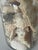 5 Large Vintage Jars With Sea Shells for Coastal Decor For Sale In Miami - Image 6 of 7