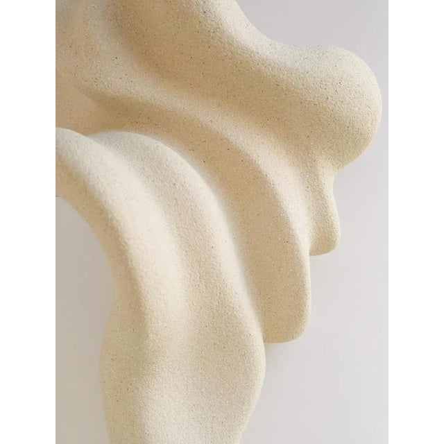 Ceramic Floating Echo Sculpture in Stoneware Clay by Aleksandra Krasnopolska For Sale - Image 4 of 14