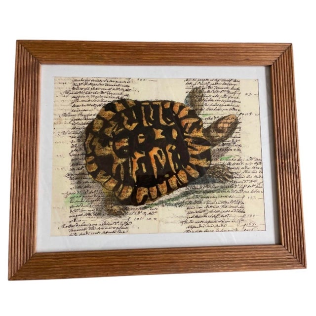 Add a touch of timeless sophistication and natural history charm to your space with this captivating vintage art print....