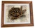 Add a touch of timeless sophistication and natural history charm to your space with this captivating vintage art print....
