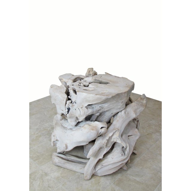 2010s Contemporary Organic Modern Teak Root Sculpture 2 For Sale - Image 5 of 10