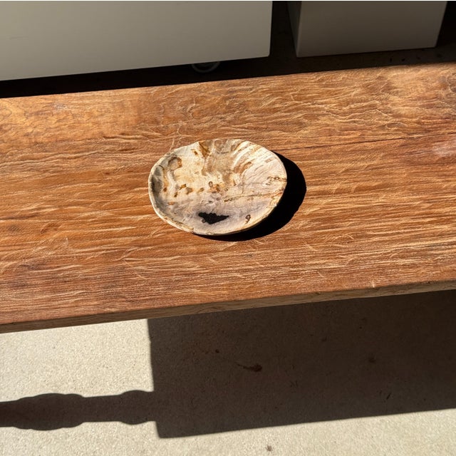 Small trinket dish or tray made of petrified wood. Petrified wood is a fossilized wood (from the same family as magnolia)...