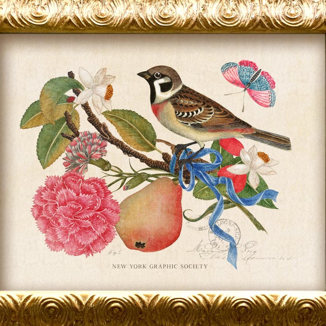 Illustration Reproduction Vintage Birds and Butterflies Art Print (Bird#1), Framed For Sale - Image 3 of 5