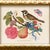 Illustration Reproduction Vintage Birds and Butterflies Art Print (Bird#1), Framed For Sale - Image 3 of 5