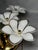 Metal Hollywood Regency Glass Floral Wall Sconces from Gealux, 1970s, Set of 2 For Sale - Image 7 of 8