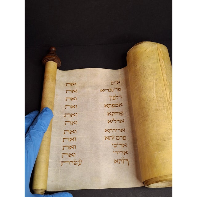 Antique 19th C Megillat Esther Parchment Scroll Ashkenazi Script Wood Roller For Sale - Image 14 of 17