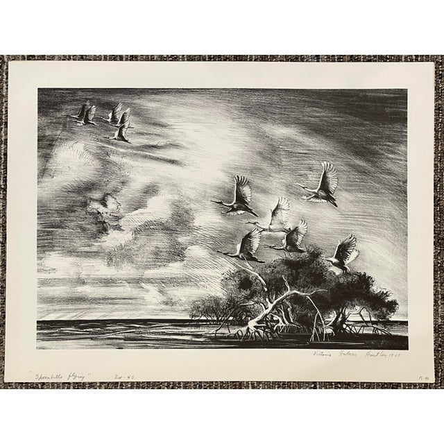 1948 Victoria Hutson Huntley Spoonbills Flying Florida Lithograph For Sale - Image 4 of 4