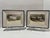 Mid 20th Century Framed Sheep Engravings Bakewell Ram Oxfordshire Downs - Set of 2 For Sale - Image 14 of 14