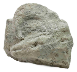 Sirio Pellegrini, Fossil, Sculpture, 1960s