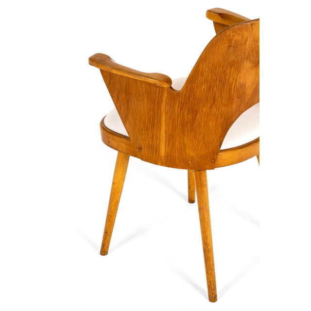 Wood Dining Chairs by Oswald Haerdtl for Ligna, Set of 4 For Sale - Image 7 of 15