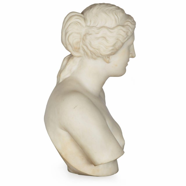 Stone Grand Tour Marble Sculpture Statue Bust of Venus De Milo After the Antique For Sale - Image 7 of 15