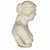 Stone Grand Tour Marble Sculpture Statue Bust of Venus De Milo After the Antique For Sale - Image 7 of 15
