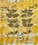 I collect and print wild plants in my high altitude neighborhood. I also experiment with color and layers of prints. This...