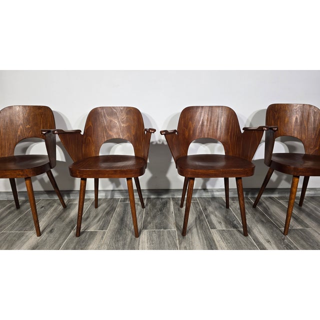 Dining Chairs by Oswald Haerdtl for Ton, 1950s, Set of 4 For Sale - Image 16 of 18