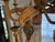1960s Mario Torres Palm Tree Chandelier With Monkey For Sale - Image 11 of 14