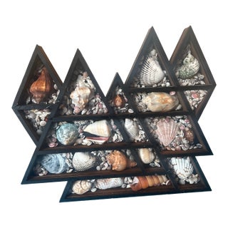 Mountain Peak Seashell Shadow Box For Sale